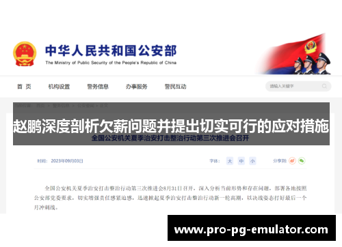 赵鹏深度剖析欠薪问题并提出切实可行的应对措施 赵鹏深度剖析欠薪问题并提出切实可行的应对措施