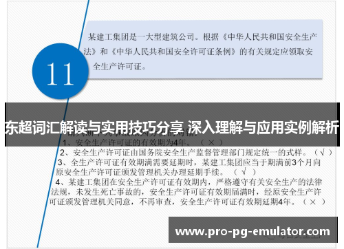 东超词汇解读与实用技巧分享 深入理解与应用实例解析 东超词汇解读与实用技巧分享 深入理解与应用实例解析