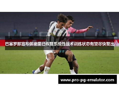 巴塞罗那宣布佩德里已恢复系统性战术训练状态有望尽快复出 巴塞罗那宣布佩德里已恢复系统性战术训练状态有望尽快复出
